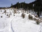 SchÃ¶nalmjoch - dÃ¼rftige Schneelage im Waldbereich, hier fehlt 1 Meter Schnee
